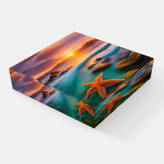 Starfish on beach at Dawn Paperweight (Angled)