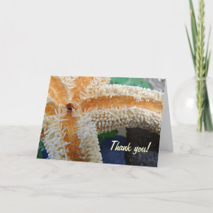 Starfish on Beach Glass Thank you card