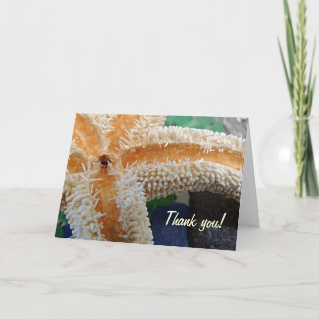 Starfish on Beach Glass Thank you card (Front)