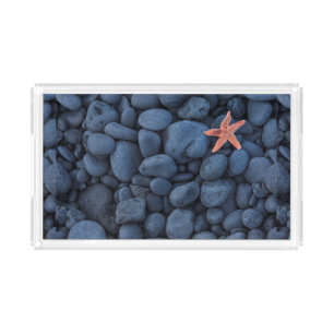 Starfish On Black Rocks Along The Coast Iceland Acrylic Tray
