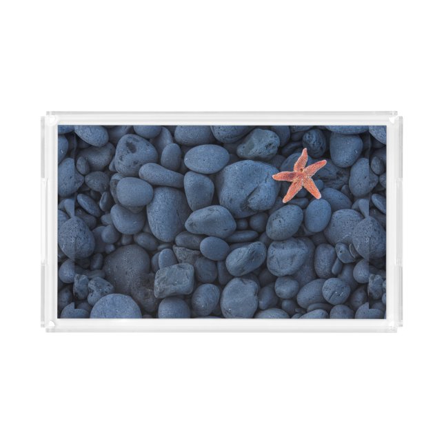 Starfish On Black Rocks Along The Coast | Iceland Acrylic Tray (Front)