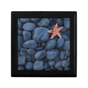 Starfish On Black Rocks Along The Coast Iceland Keepsake Box