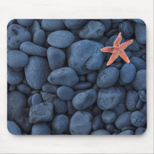 Starfish On Black Rocks Along The Coast Iceland Mouse Pad