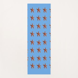 Starfish  on blue
