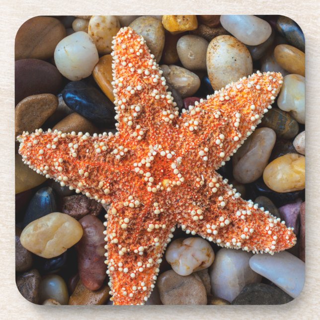 Starfish On Rocks Beverage Coaster (Front)