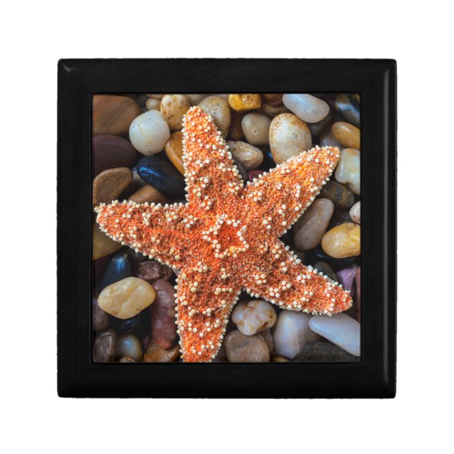 Starfish On Rocks Gift Box (Front)