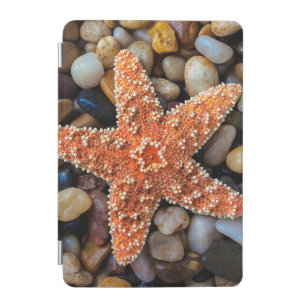 Starfish On Rocks iPad Mini Cover