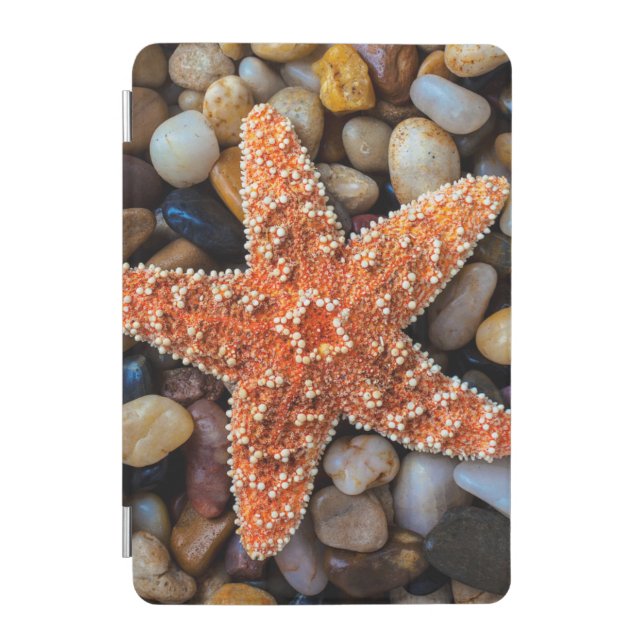Starfish On Rocks iPad Mini Cover (Front)