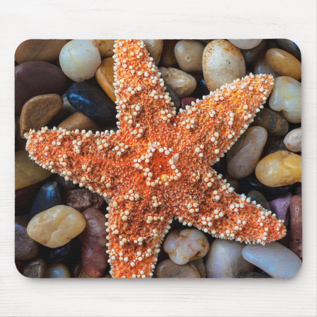 Starfish On Rocks Mouse Pad (Front)