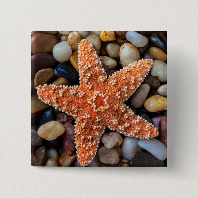 Starfish On Rocks Pinback Button (Front)