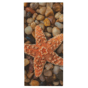 Starfish On Rocks Wood USB Flash Drive