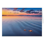 Starfish On Sand (Front Horizontal)