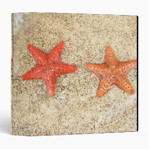 starfish on the beach, at the edge of the ocean 3 ring binder
