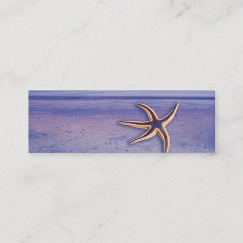 Starfish on the beach business card templates