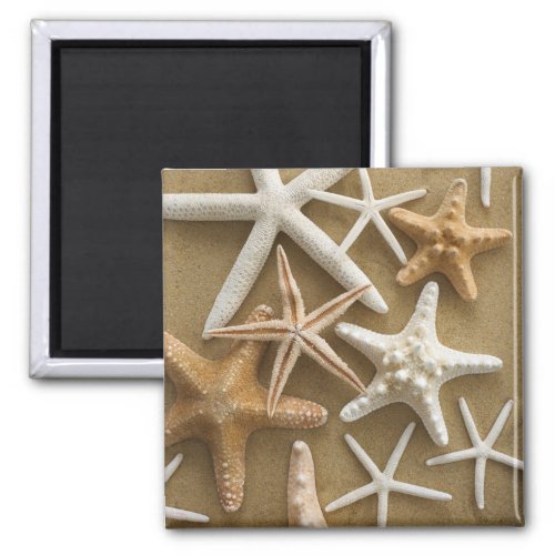 Starfish On The Sand Magnet