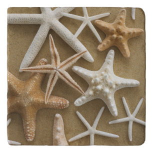 Starfish On The Sand Trivet