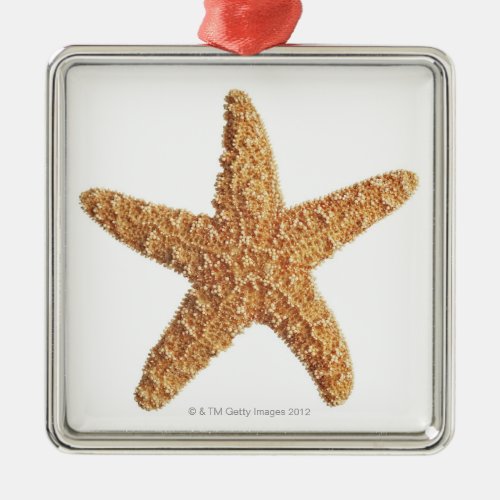 Starfish on White Metal Ornament