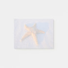 Starfish On White Sand