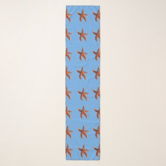 Starfish or sea stars on blue