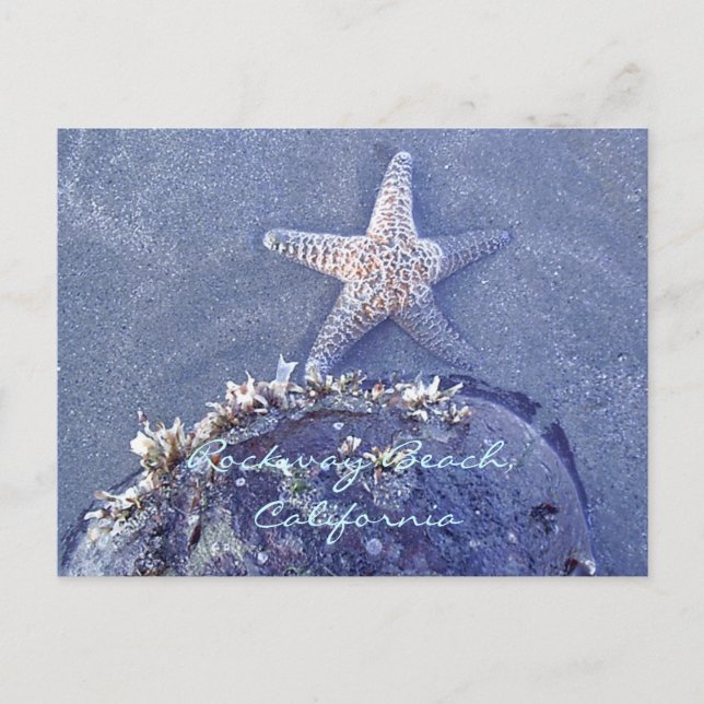 Starfish Postcard (Front)