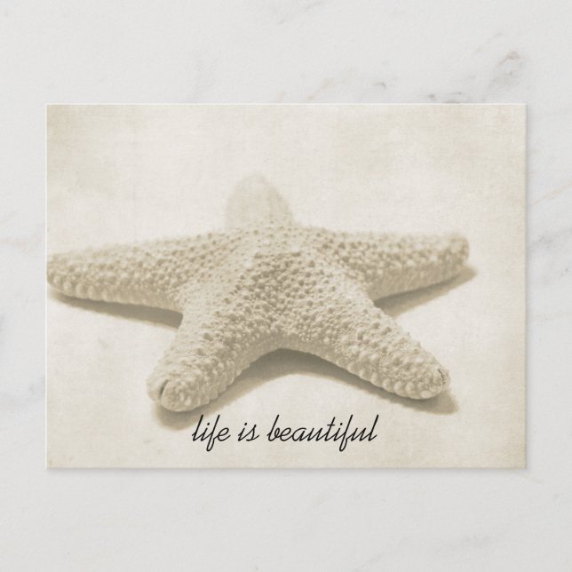 Starfish Postcard (Front)