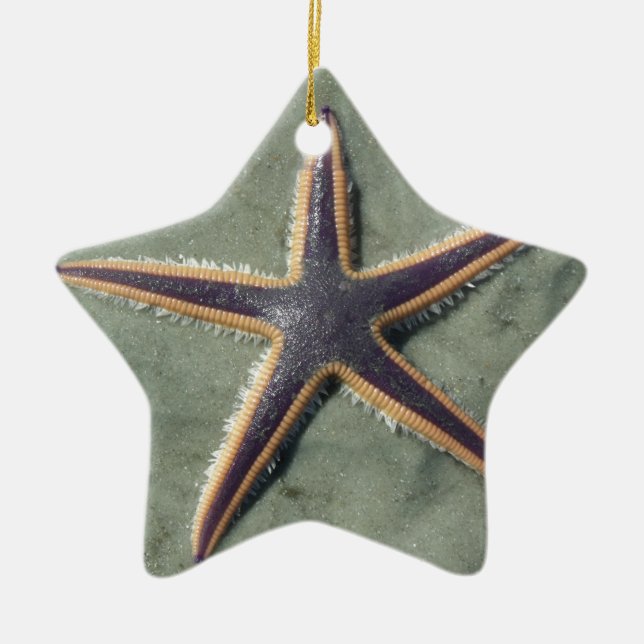 Starfish Purple sea star on beach Ceramic Ornament (Front)
