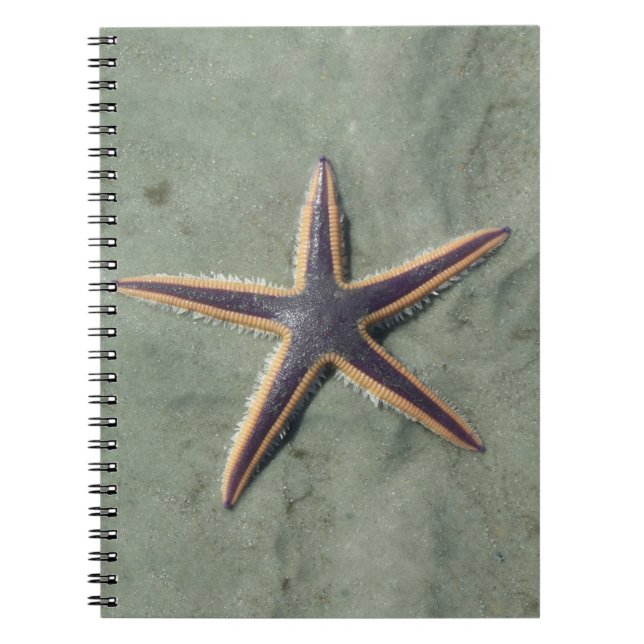 Starfish Purple sea star on beach Notebook (Front)