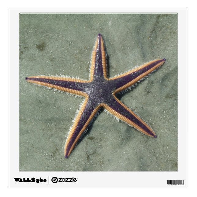 Starfish Purple sea star on beach Wall Decal (Front)