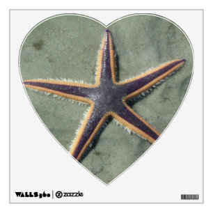 Starfish Purple sea star on beach Wall Decal