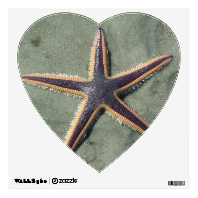Starfish Purple sea star on beach Wall Decal (Front)
