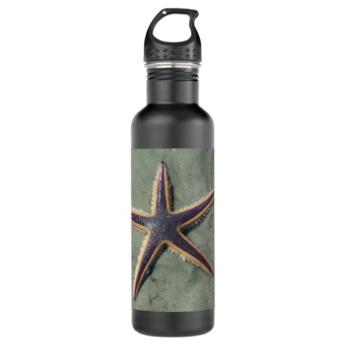 Starfish Purple sea star on beach Water Bottle