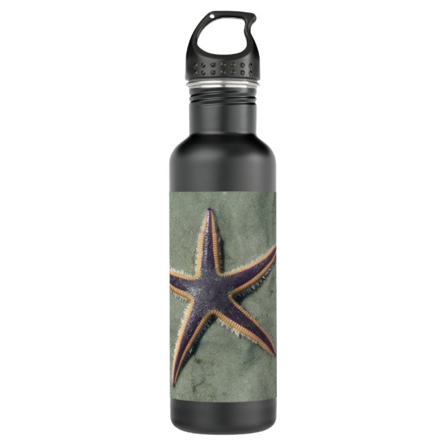 Starfish Purple sea star on beach Water Bottle (Front)