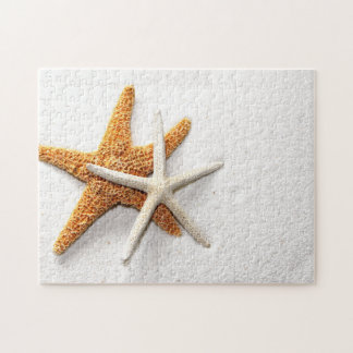 Starfish Puzzle