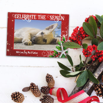 Starfish Red Christmas Twinkling Stars Photo Card by holiday_store at Zazzle