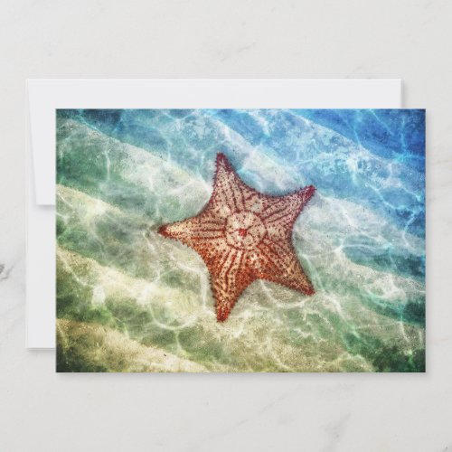 Starfish Reflections Holiday Card