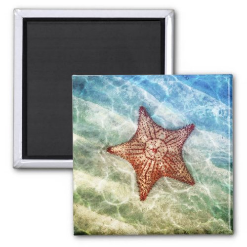 Starfish Reflections Magnet