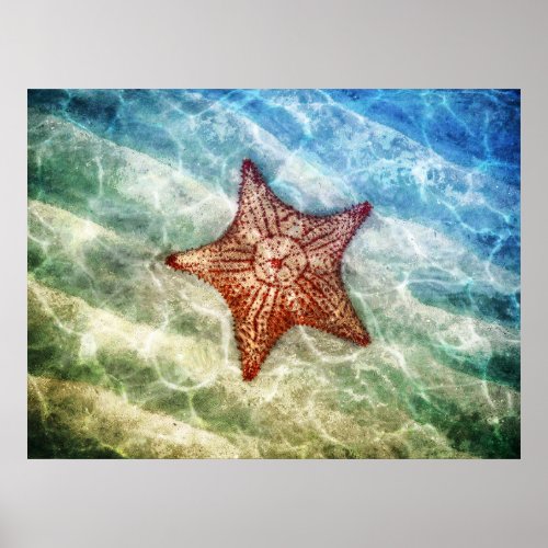 Starfish Reflections Poster