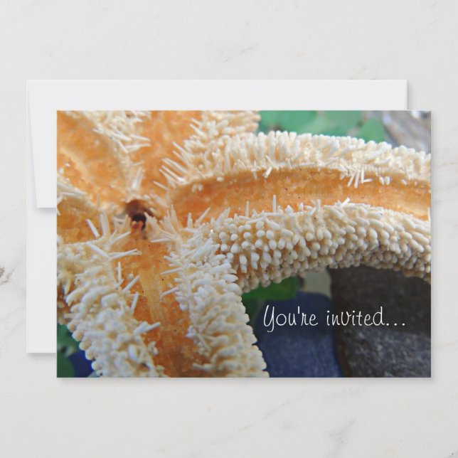 Starfish & Sea Glass Invitation (Front)