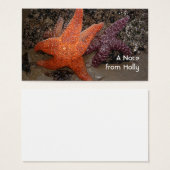 Starfish/Sea Stars, Cannon Beach OR, Photo 1 (Front & Back)
