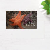 Starfish/Sea Stars, Cannon Beach OR, Photo 1 (Desk)