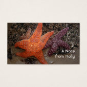 Starfish/Sea Stars, Cannon Beach OR, Photo 1 (Front)