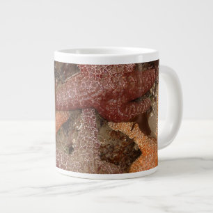 Starfish/Sea Stars in Cannon Beach, OR, Photo 4 Large Coffee Mug