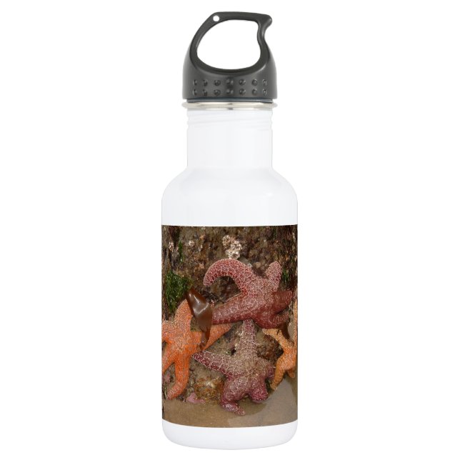 Starfish/Sea Stars in Cannon Beach, OR, Photo 4 Stainless Steel Water Bottle (Front)