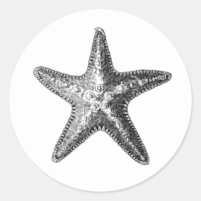 "STARFISH" SEALIFE ENVELOPE SEAL STICKER (Front)