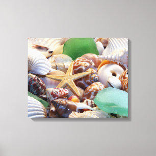 Starfish & Seashells Canvas Wrap Print
