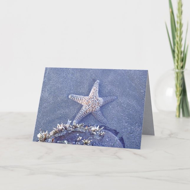 Starfish Semi Immersed Card (Front)