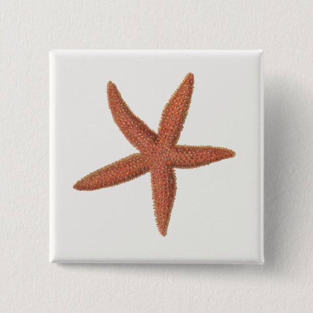 Starfish - Sherman Denton Fish Lithograph Button (Front)
