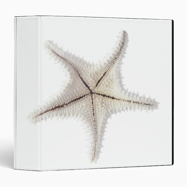 Starfish skeleton, close-up binder (Front/Spine)