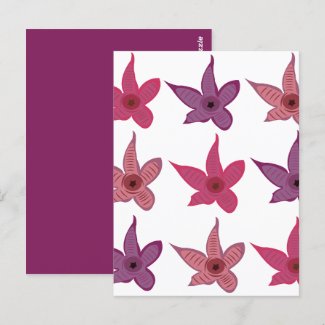 Starfish Stapelia Flower Cactus