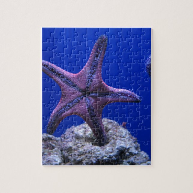 Starfish, Star Bright! Jigsaw Puzzle (Vertical)